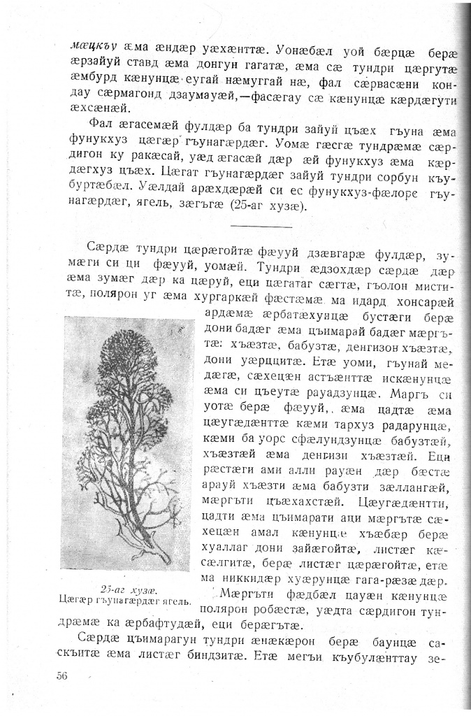 Геогр Витковский ДИГОРОНАУ (56).jpg