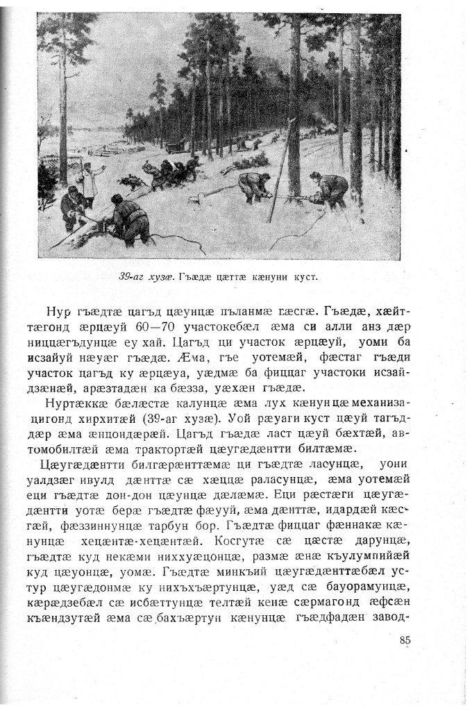 Геогр Витковский ДИГОРОНАУ (85).jpg