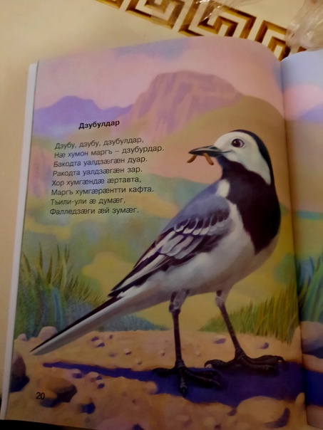 NCzdiVvh868.jpg