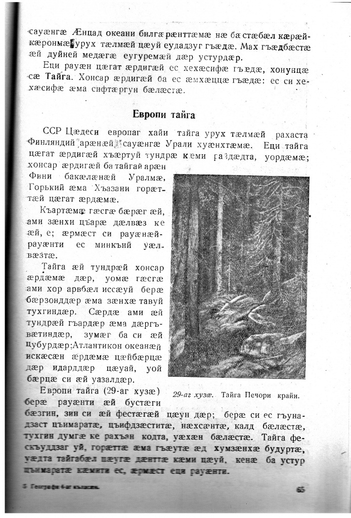 Геогр Витковский ДИГОРОНАУ (65).jpg