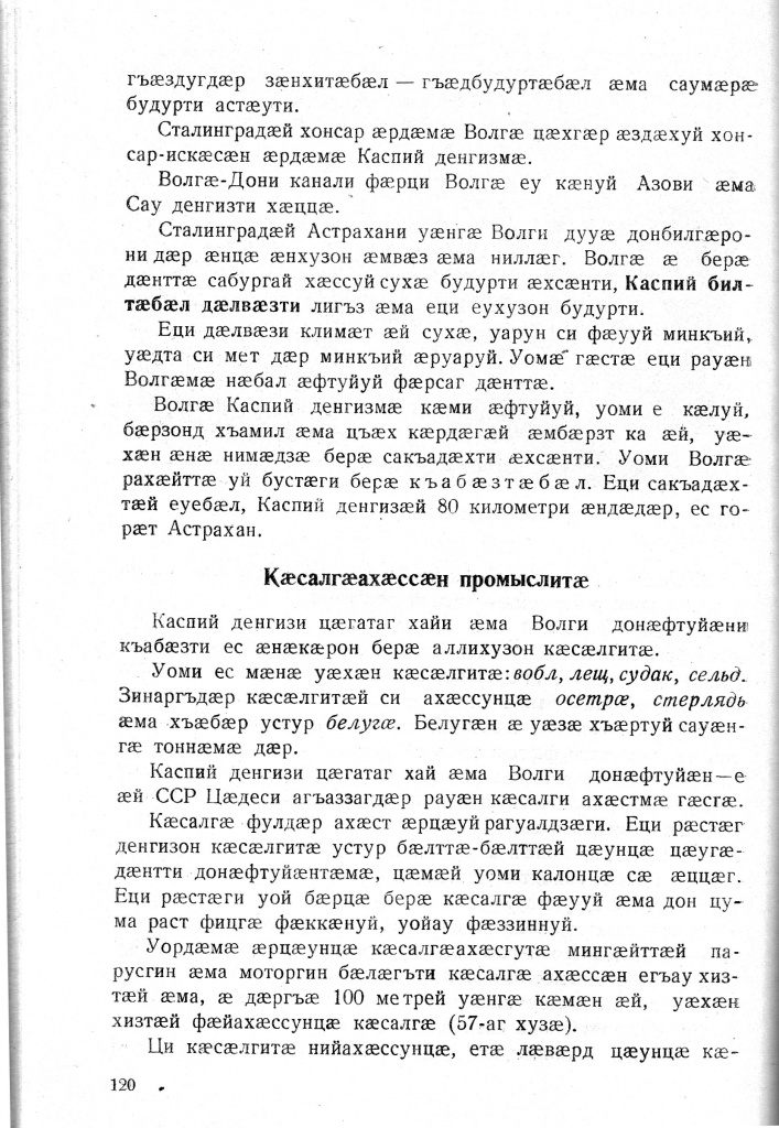 Геогр Витковский ДИГОРОНАУ (120).jpg