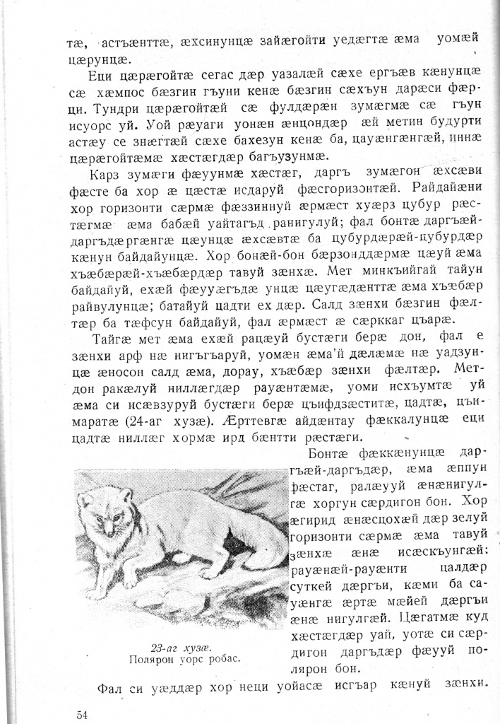 Геогр Витковский ДИГОРОНАУ (54).jpg