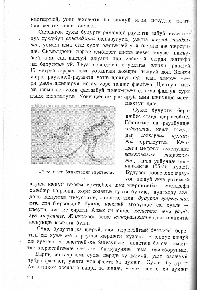 Геогр Витковский ДИГОРОНАУ (114).jpg