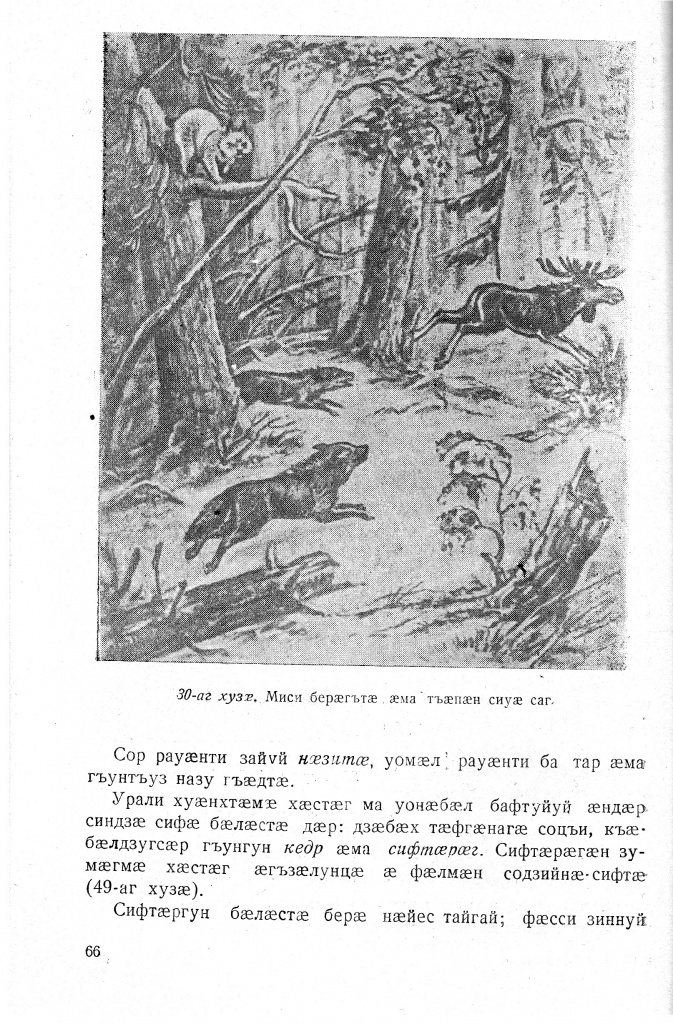 Геогр Витковский ДИГОРОНАУ (66).jpg