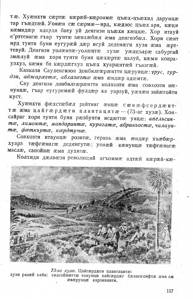 Геогр Витковский ДИГОРОНАУ (157).jpg