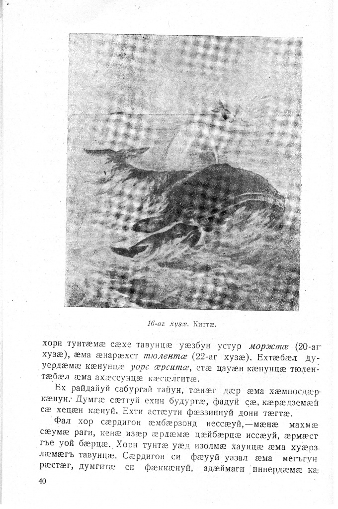 Геогр Витковский ДИГОРОНАУ (40).jpg