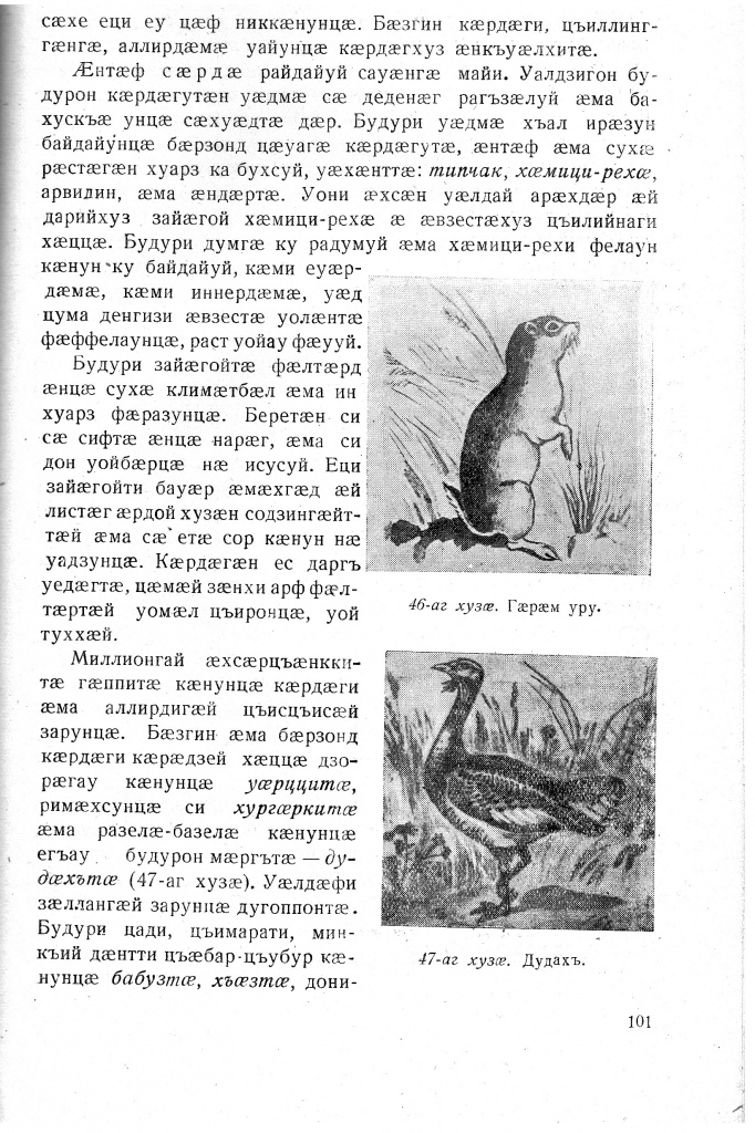 Геогр Витковский ДИГОРОНАУ (101).jpg