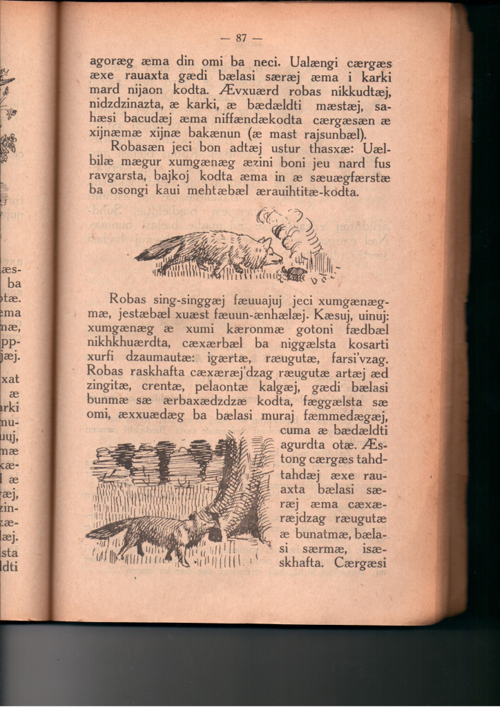 87.jpg ДИГ ДЗУРД 1927 СТР 87_page-0001.jpg