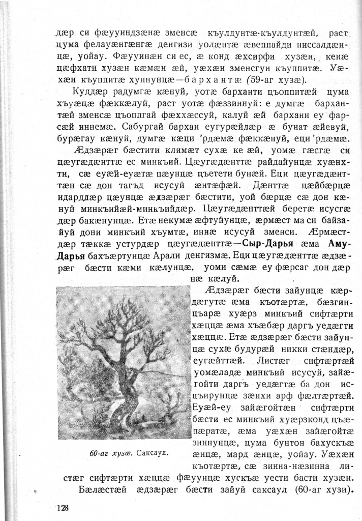 Геогр Витковский ДИГОРОНАУ (128).jpg