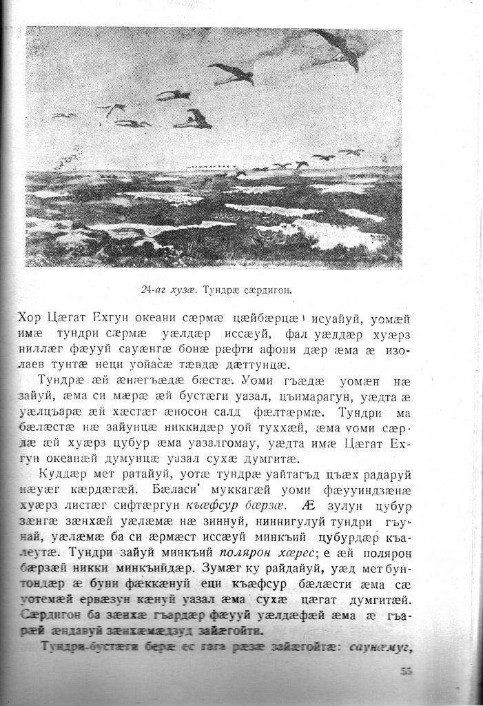 Геогр Витковский ДИГОРОНАУ (55).jpg