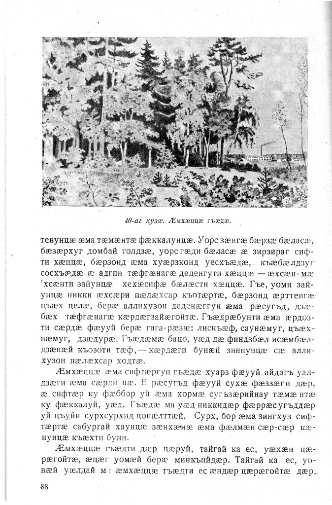 Геогр Витковский ДИГОРОНАУ (88).jpg