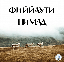 Фиййаути нимад